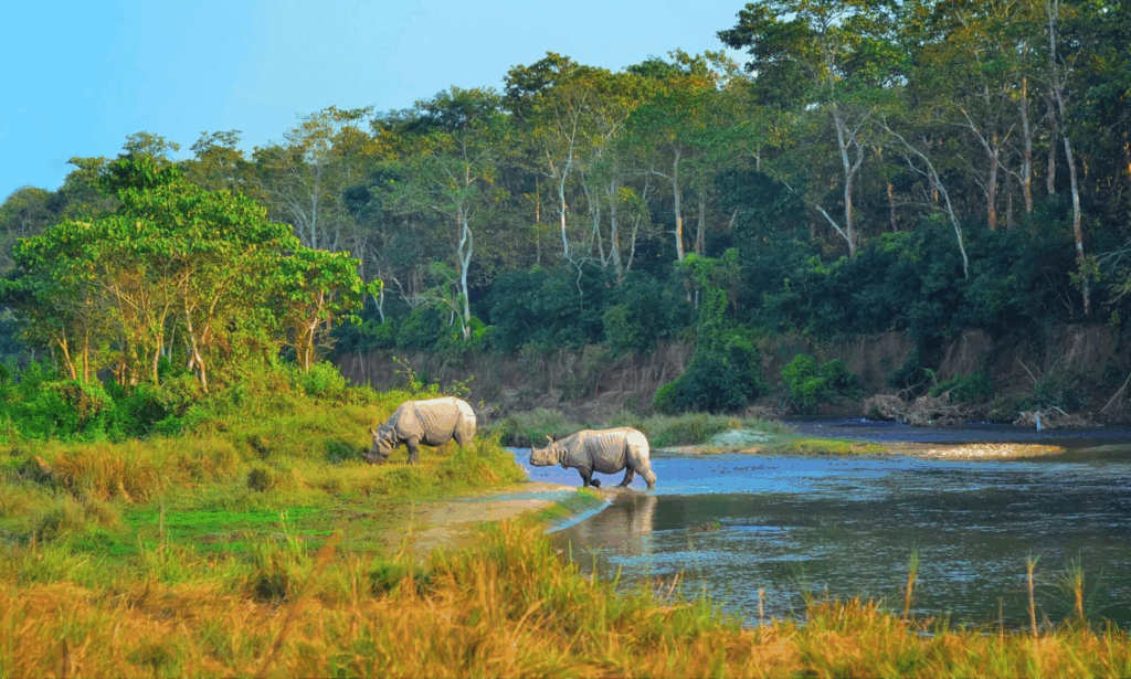 Chitwan National Park