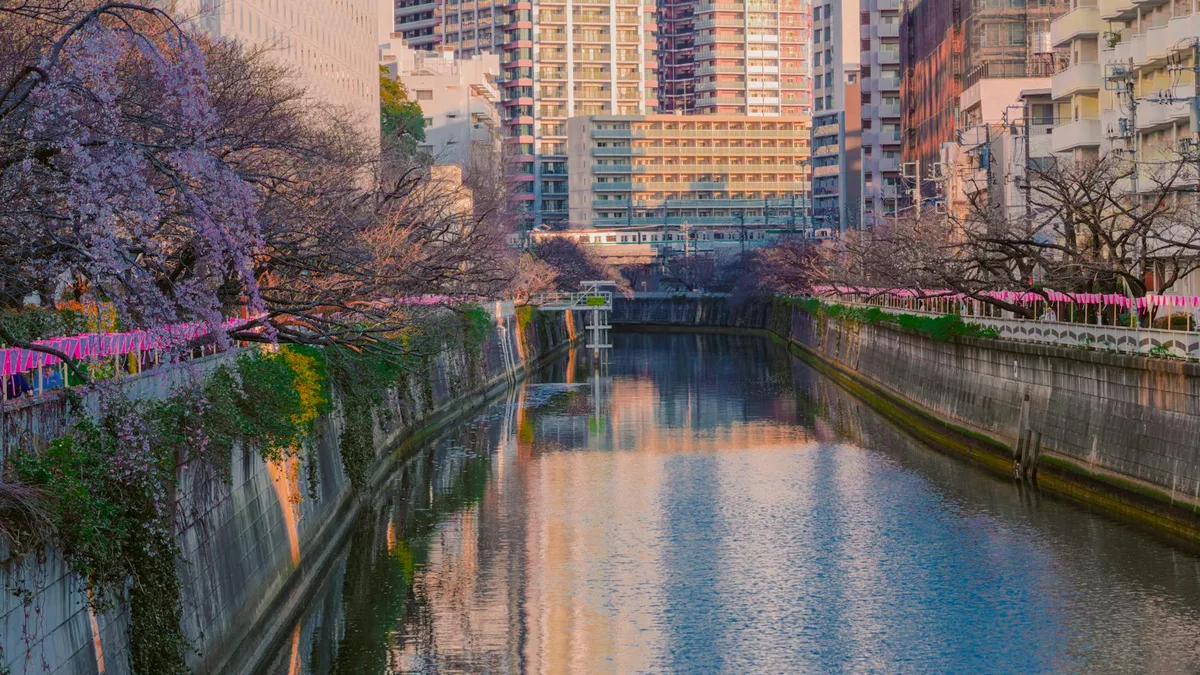 Japan in Spring