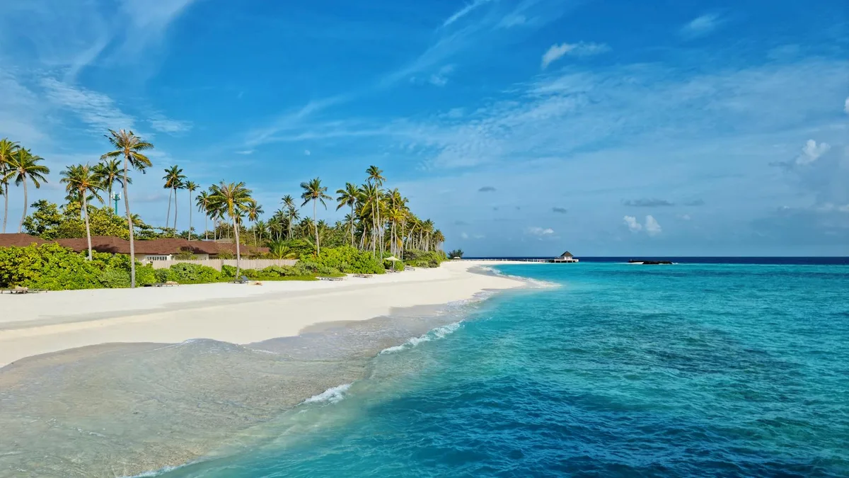 Spectacular Maldives Diving Adventures 2026