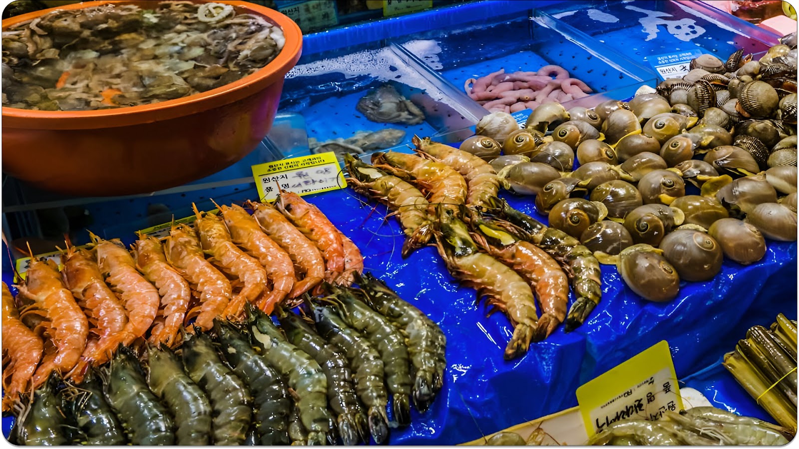 Seafood at Noryangjin Fish Market