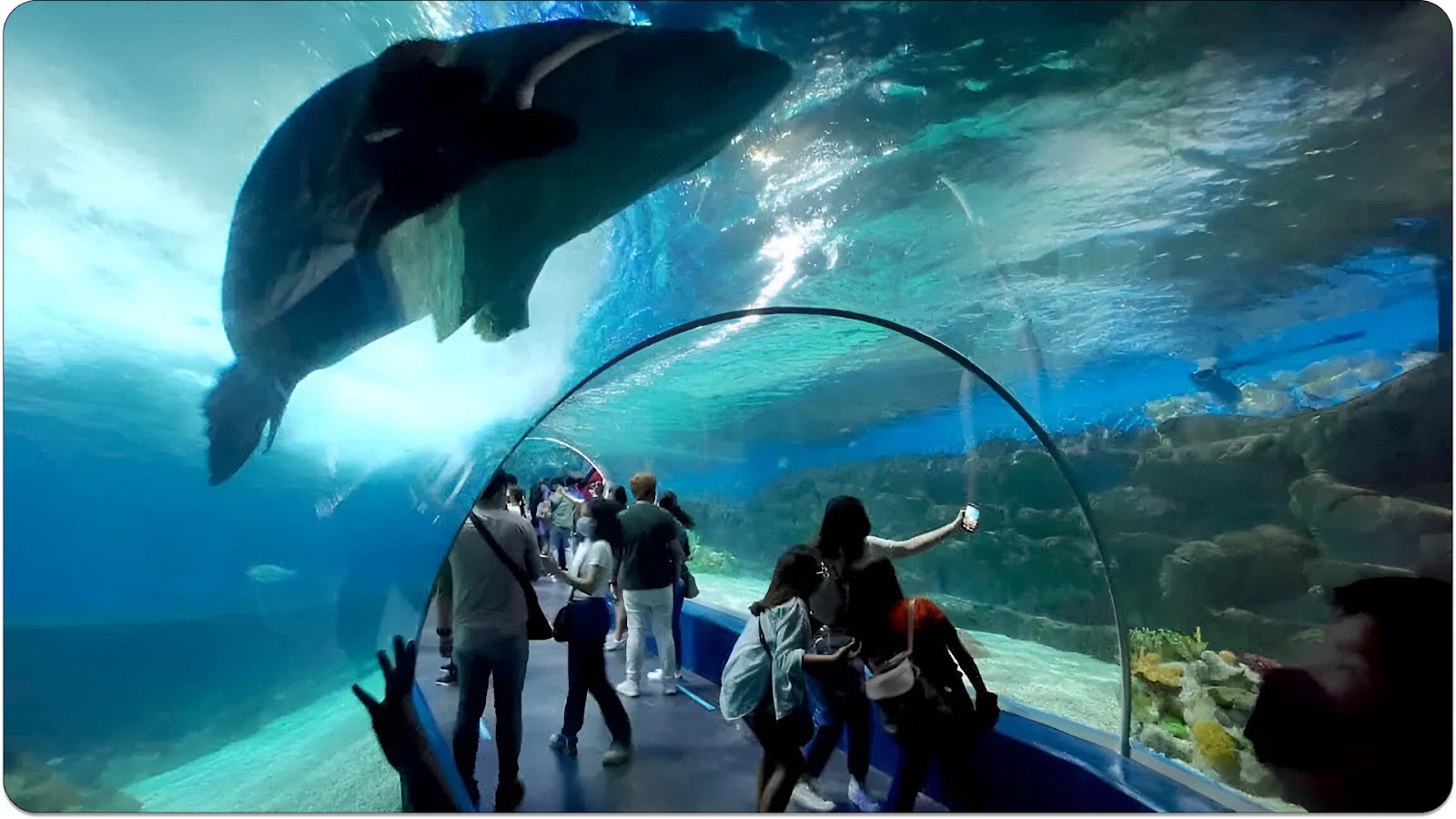 Manila Ocean Park