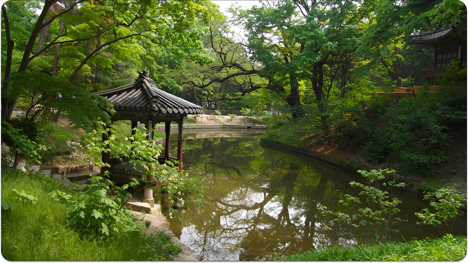 Changdeokgung's Hidden Garden