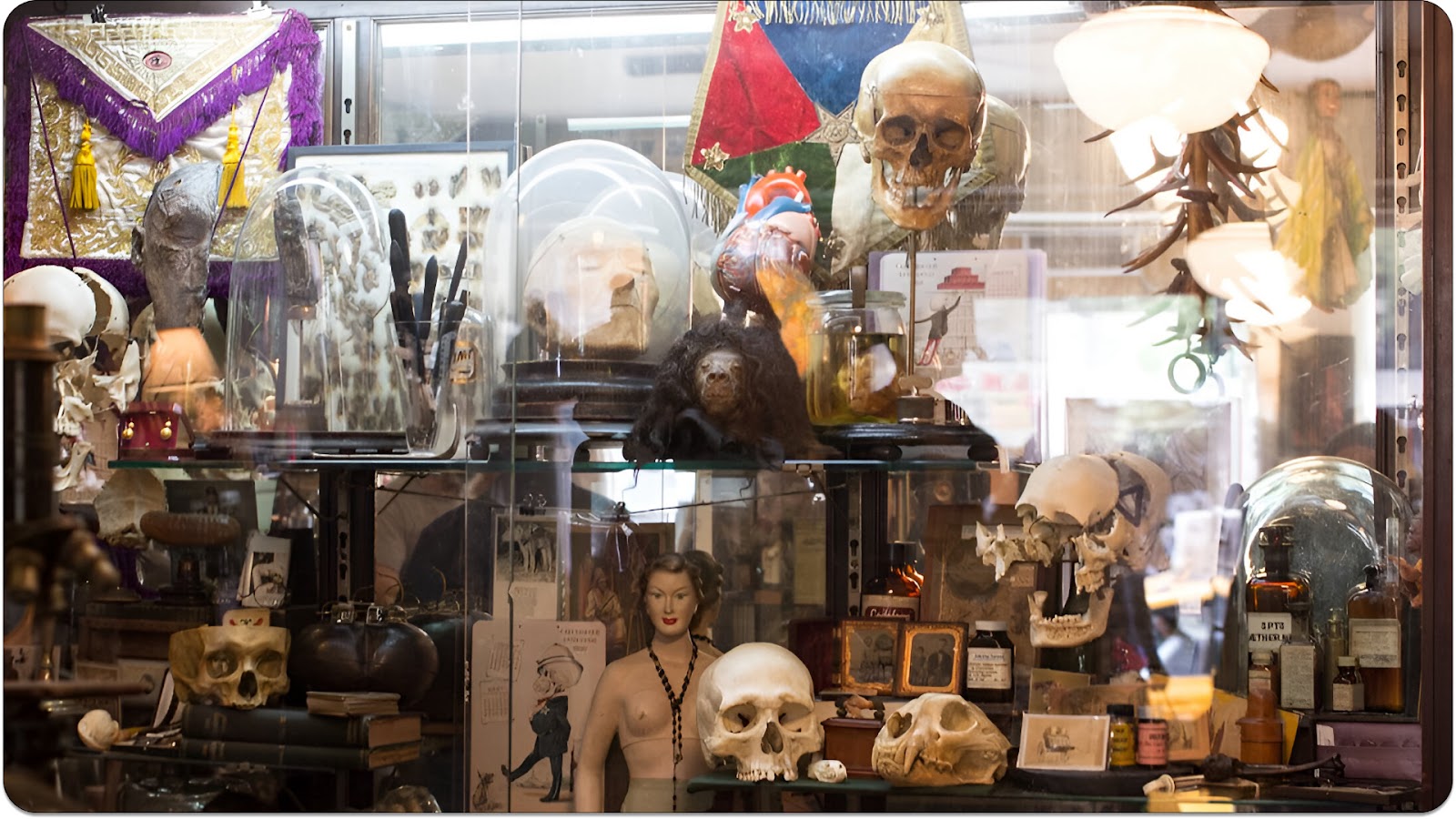 Obscura Antiques & Oddities