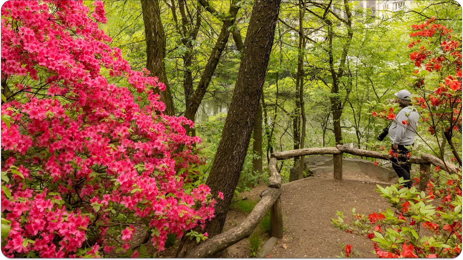 Hallet Nature Sanctuary