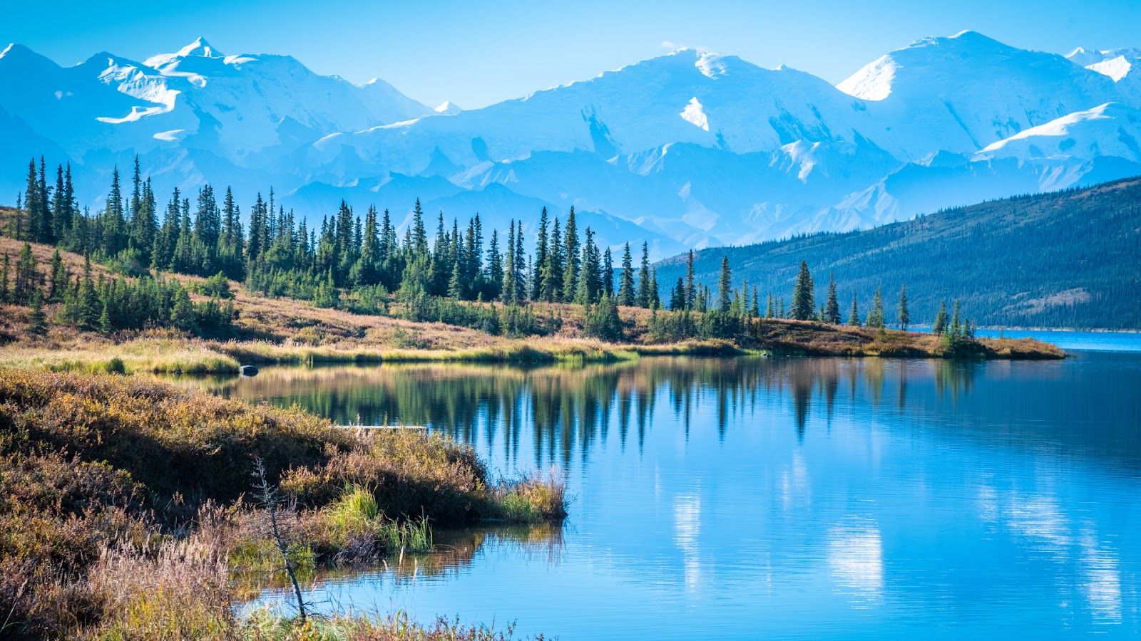 Denali National Park