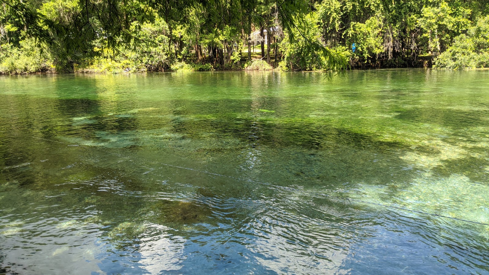 Rainbow River