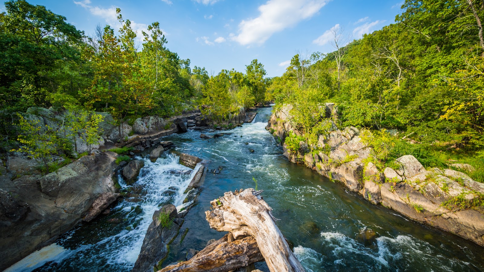Potomac River