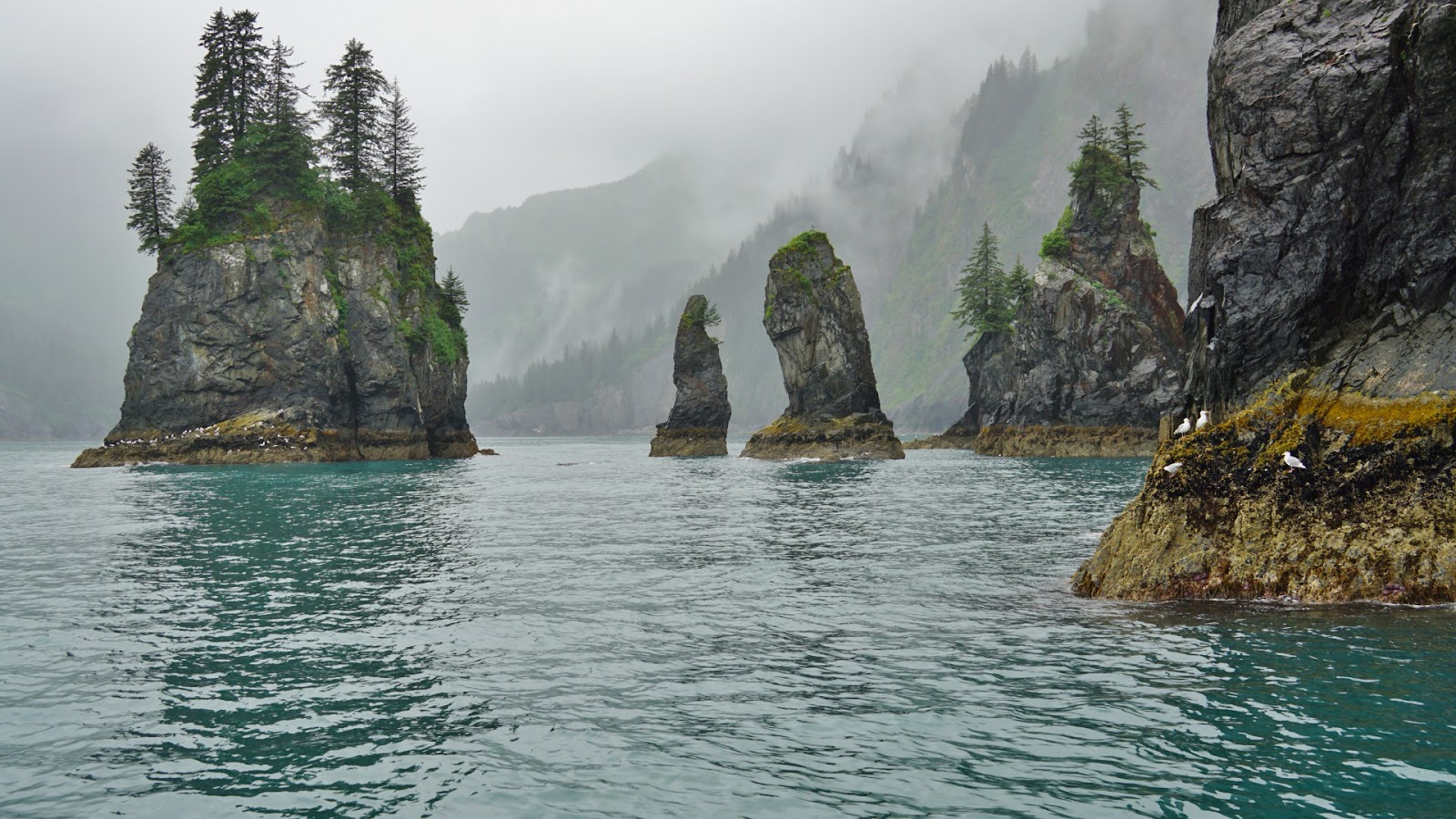 Kenai Fjords