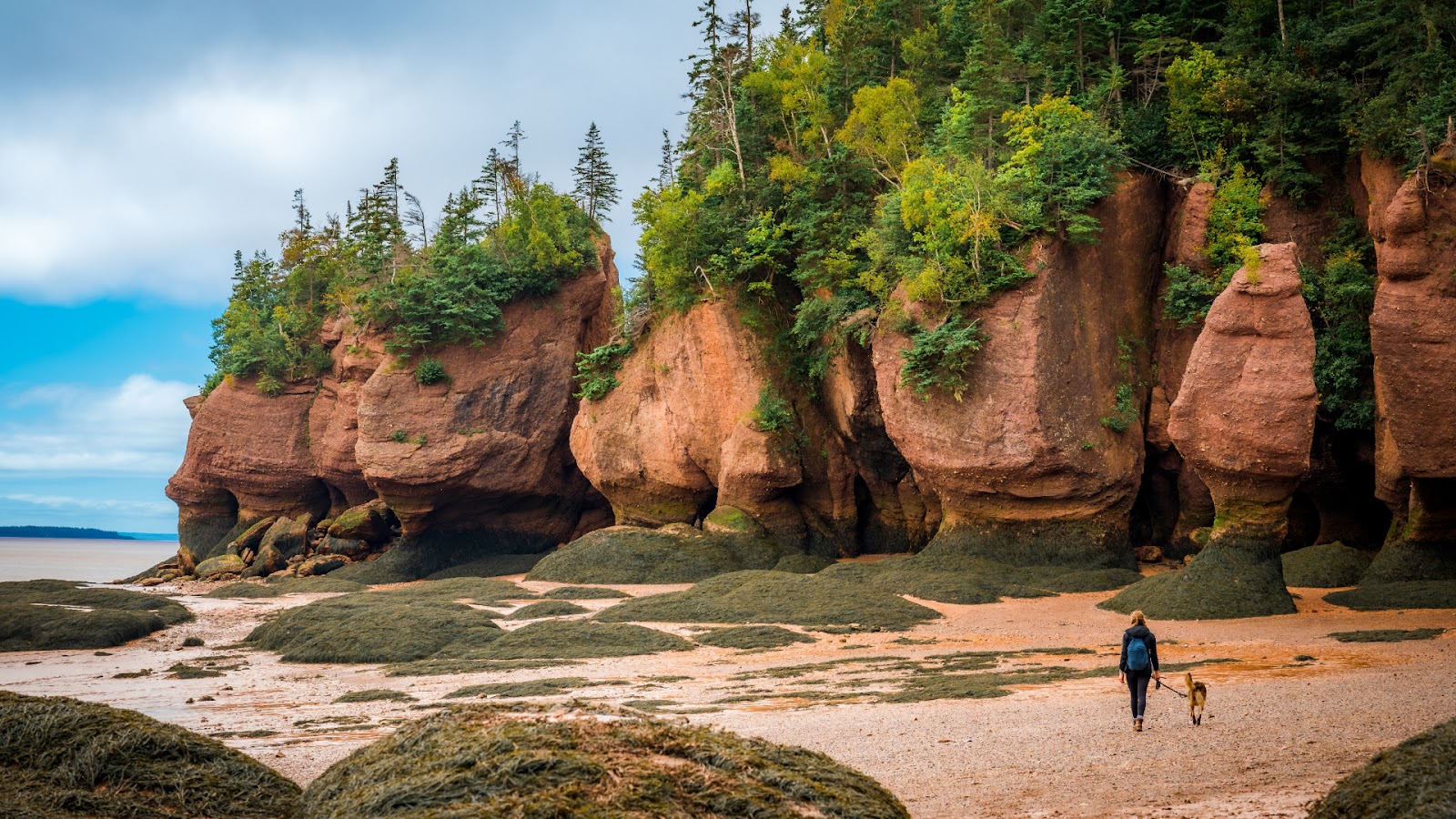 Bay of Fundy