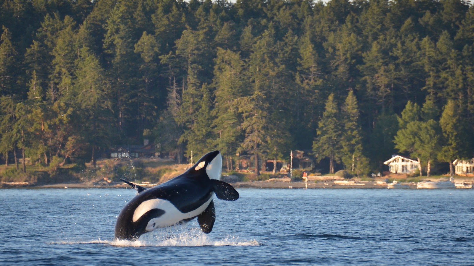 San Juan Islands