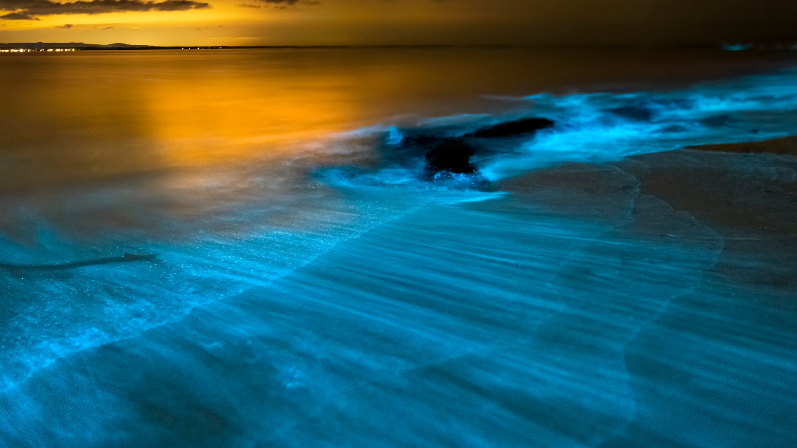 Bioluminescent Bays