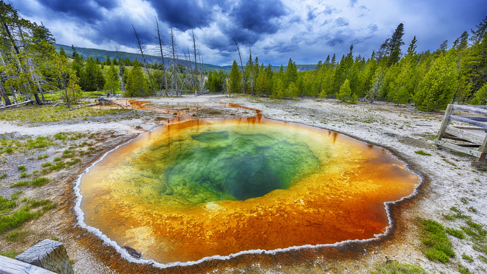 Yellowstone