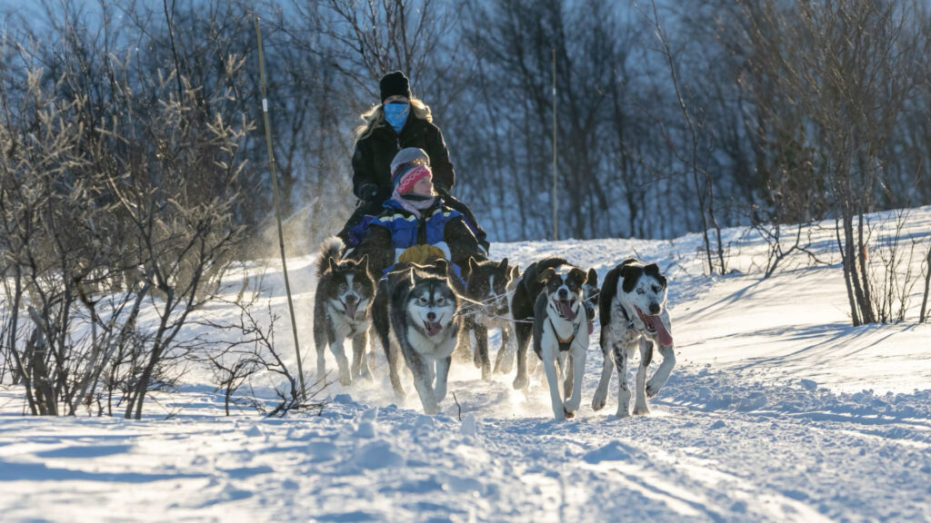 Dog sledding